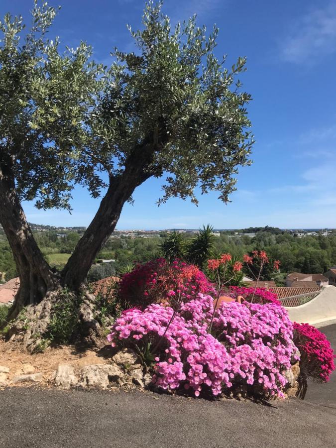 3 Bedrooms Villa Near Cannes - Pool & Jacuzzi - Sea View Mandelieu Εξωτερικό φωτογραφία